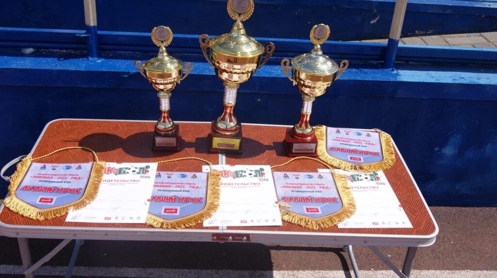 Рязанская команда «Золотые купола» стала победителем регионального этапа детского фестиваля «Локобол - РЖД»