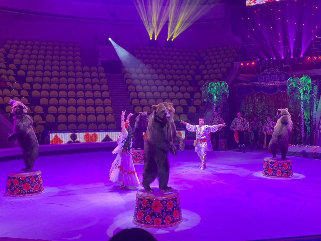 В Рязани начинаются гастроли циркового шоу Гии Эрадзе «5 континентов»