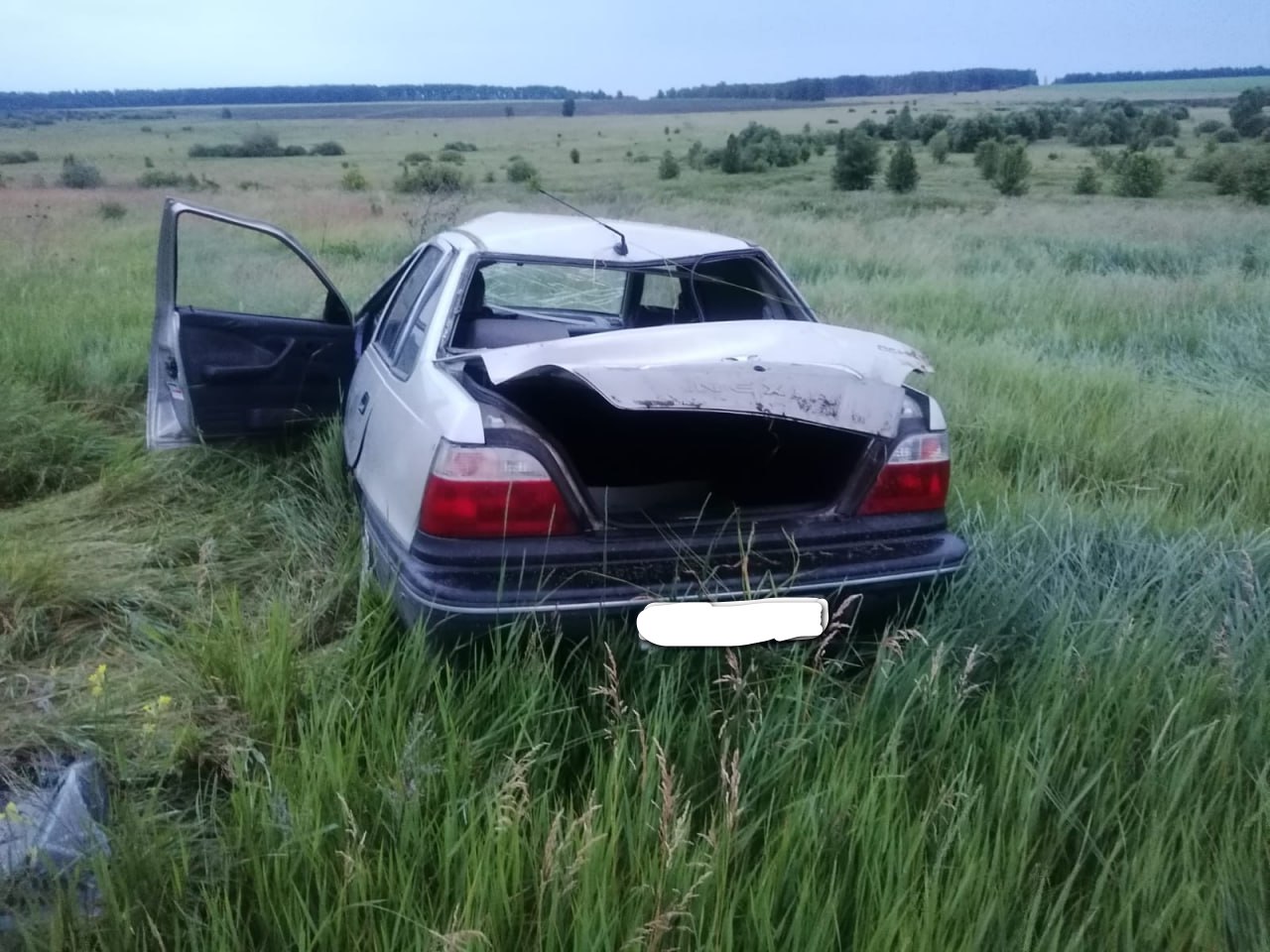 Двое взрослых и трое детей пострадали в ДТП в Воронежской области