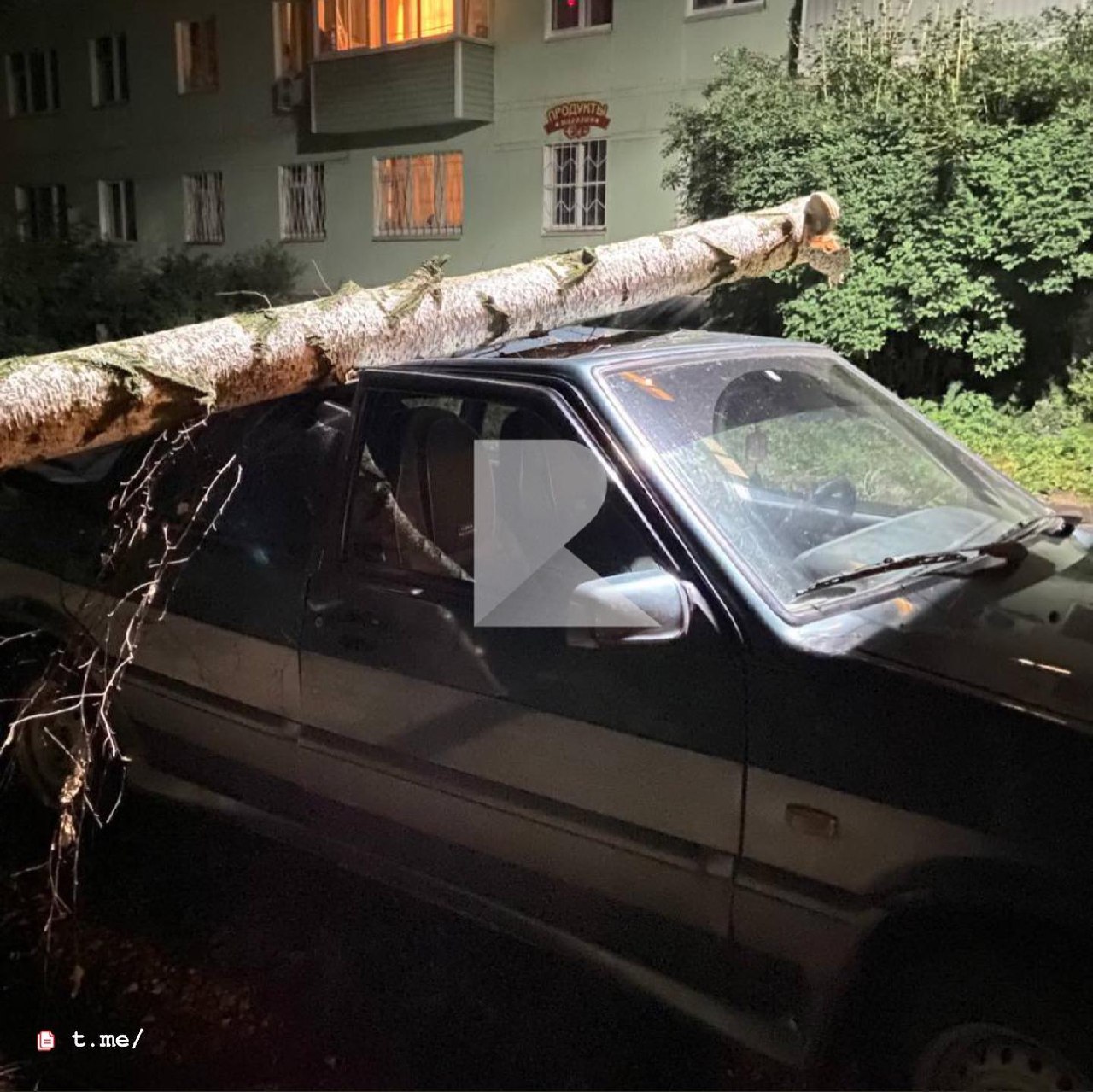 На улице Халтурина на припаркованный автомобиль упало дерево | 22.07.2023 |  Рязань - БезФормата