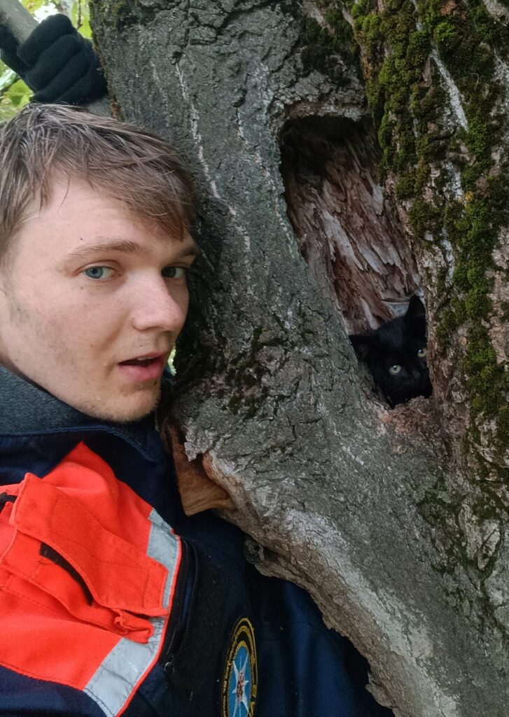 На улице Белякова волонтёры-медики спасли двух котят из дупла дерева