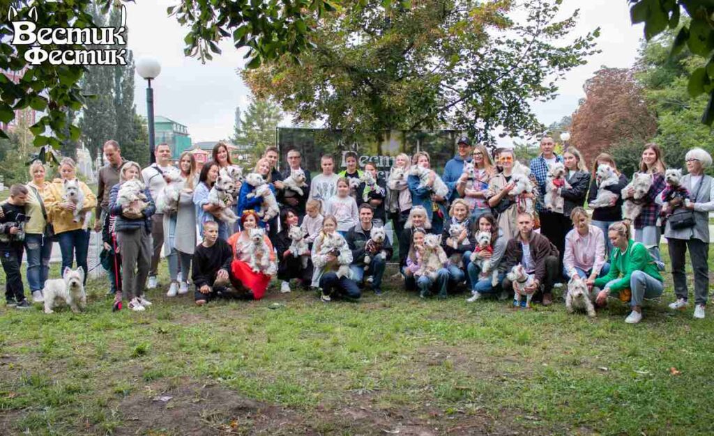 В Рязани собачий фестиваль «Вестик-Фестик» собрал рекордное количество участников В Рязани собачий фестиваль «Вестик-Фестик» собрал рекордное количество участников Монопородная встреча собак породы вест хайленд уайт терьер «Вестик-Фестик» прошла в Рязани в 9-й раз, на сей раз на Лыбедском бульваре.