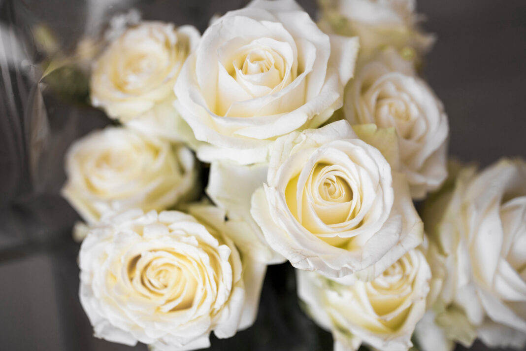 an-overhead-view-of-fresh-white-bouquet-roses