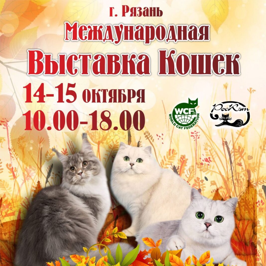 IMG_20231004_131516_536