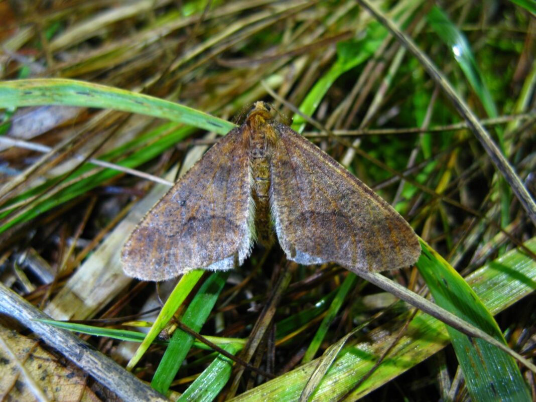 WhatsApp Image 2023-11-07 at 16.33.15 (1)