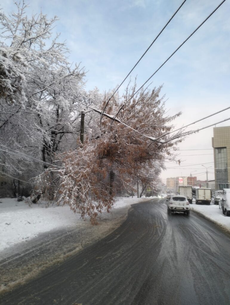 Где в Рязани упали деревья 24 декабря Где в Рязани упали деревья 24 декабря На улице Татарской заблокирован подъезд сразу к 7 домам, сообщил 7info местный житель.