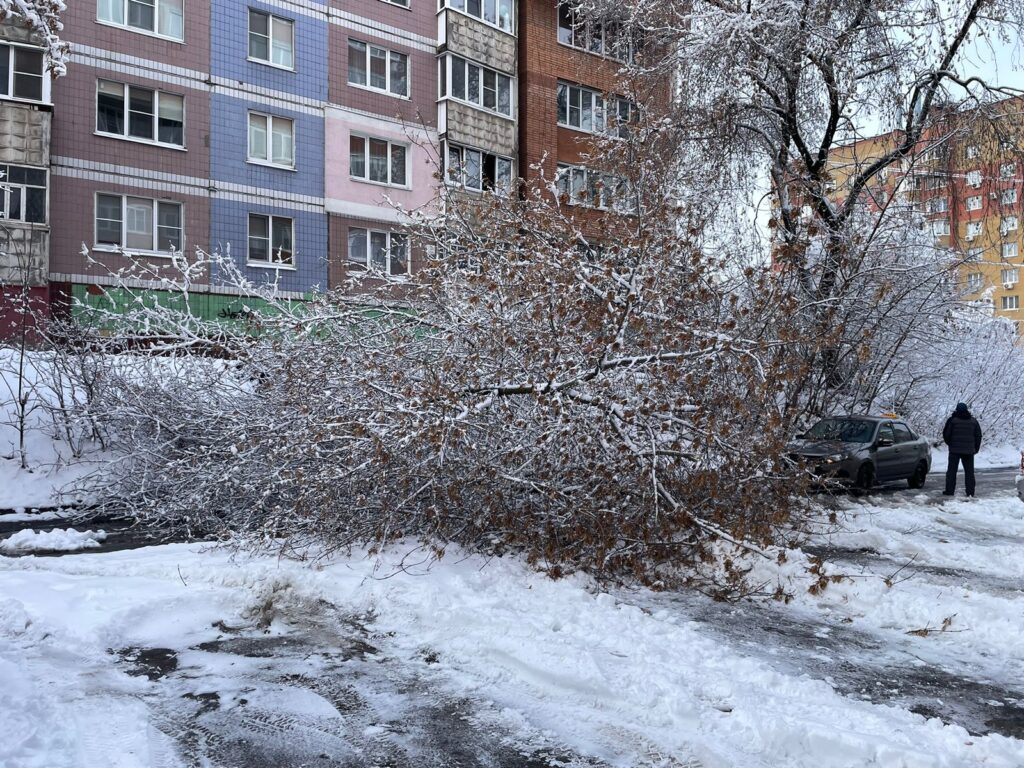 Где в Рязани упали деревья 24 декабря Где в Рязани упали деревья 24 декабря На улице Татарской заблокирован подъезд сразу к 7 домам, сообщил 7info местный житель.