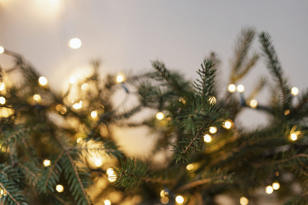 Christmas tree decorated by lights