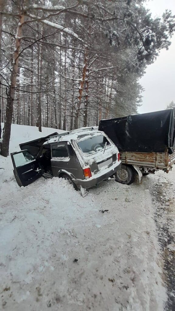 В Касимове в ДТП с «Нивой» и УАЗом пострадала женщина Госавтоинспекция Рязанской области обнародовала подробности ДТП, которое произошло 16 декабря.
