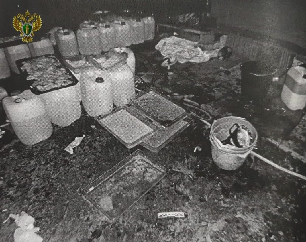 photo_2023-12-27_12-43-40