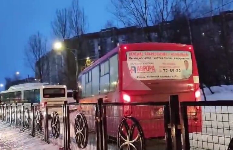 Стоящие на Новосёлов в Рязани автобусы сняли на видео