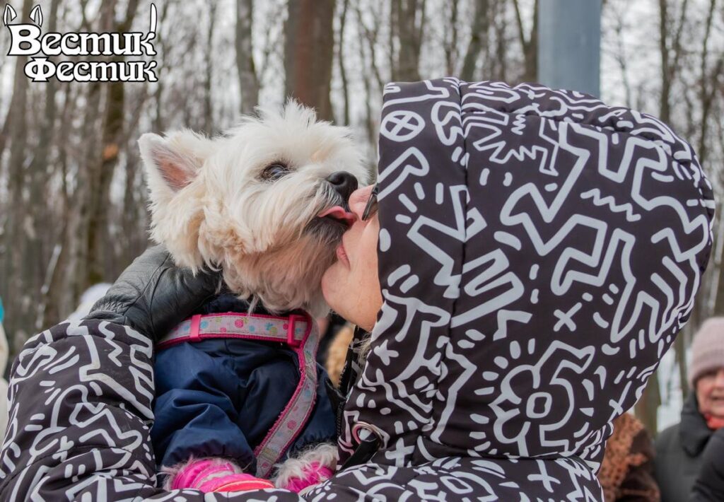 В Рязани прошел юбилейный собачий фестиваль «Вестик-Фестик» В Рязани прошел юбилейный собачий фестиваль «Вестик-Фестик» В конкурсе поцелуев чемпионка Жу целовала своего хозяина без остановки аж 9 секунд!