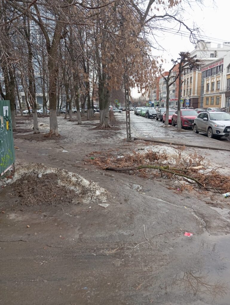 В сквере Победы на улице Кудрявцева устроили свалку