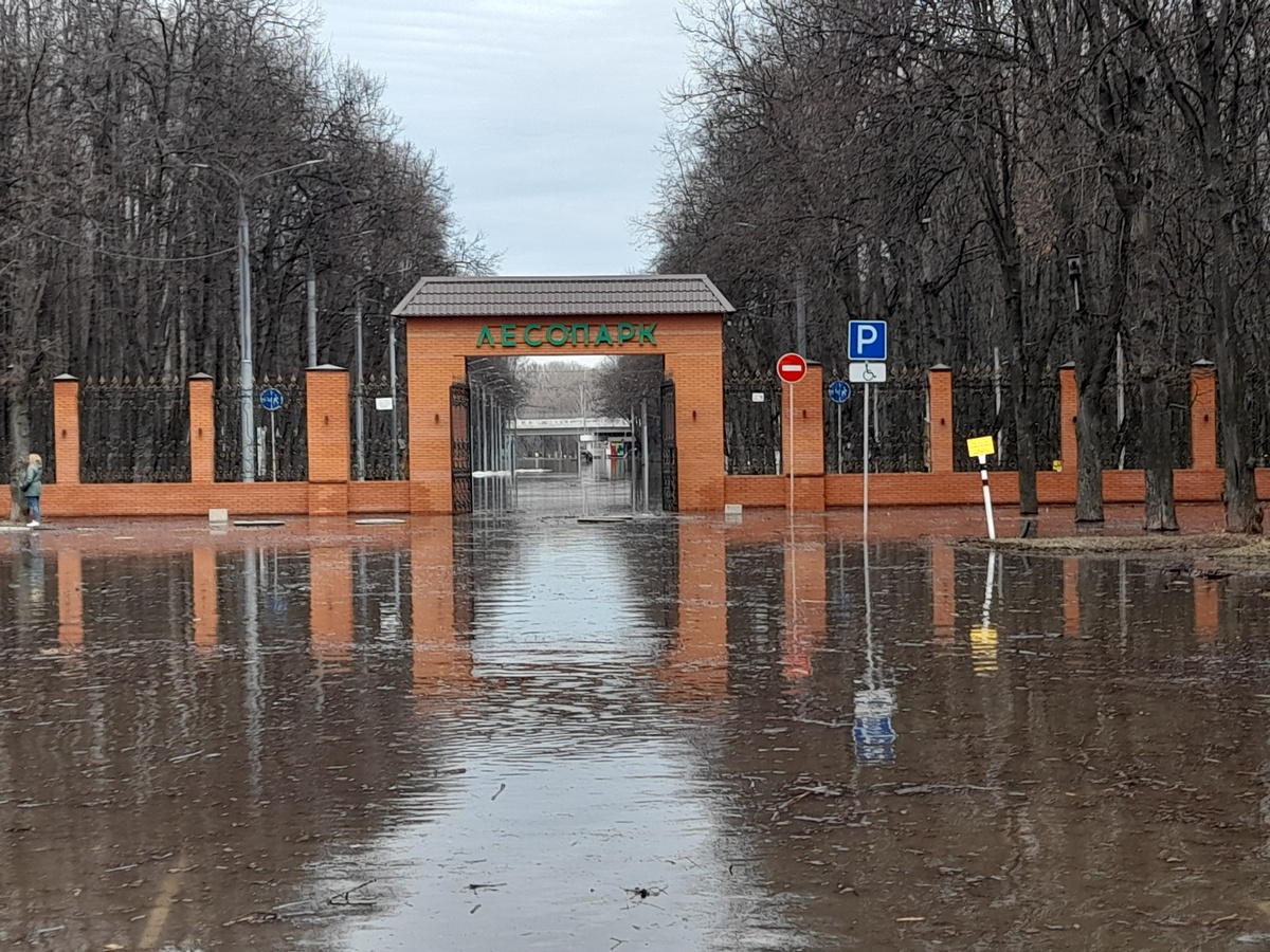 Может ли весеннее половодье стать для Рязани стихийным бедствием?