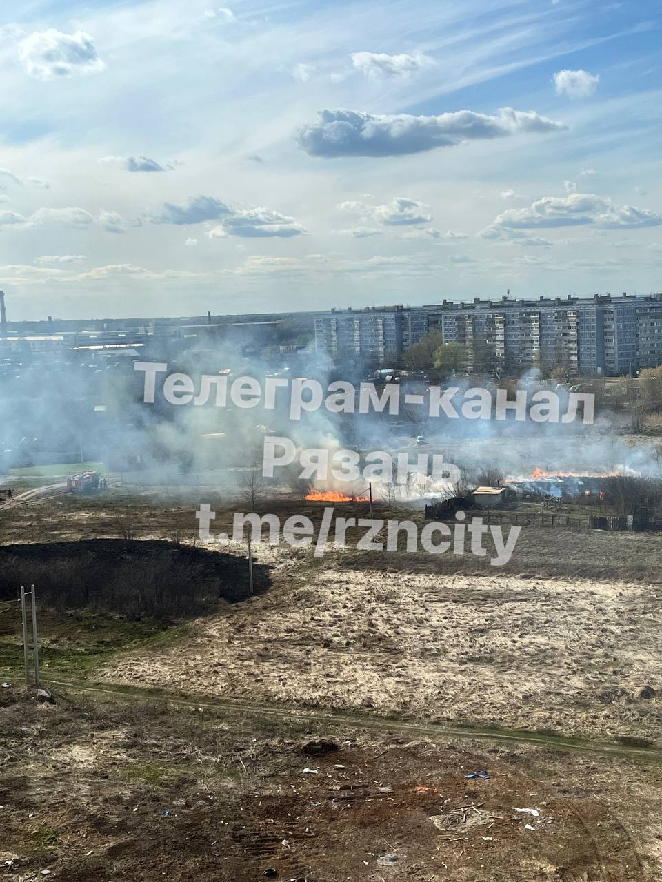 Трусы одежда для женщин купить оптом от производителя в г. Рязань