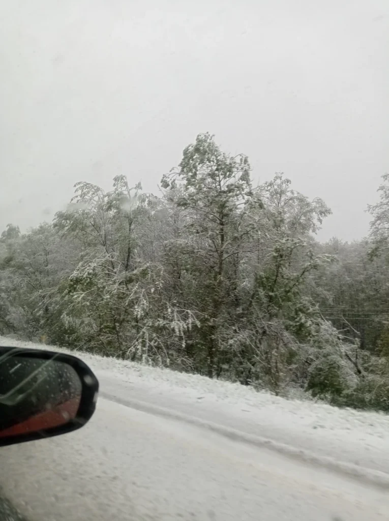 В Клепиковском районе сфотографировали белые от снега деревья и дороги