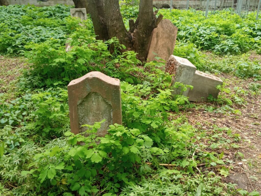 Во что можно превратить одно из самых старых и запущенных кладбищ Рязани?