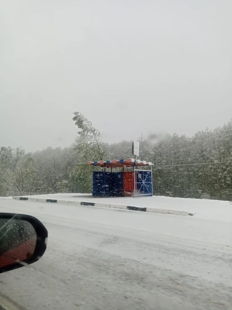 В Клепиковском районе сфотографировали белые от снега деревья и дороги