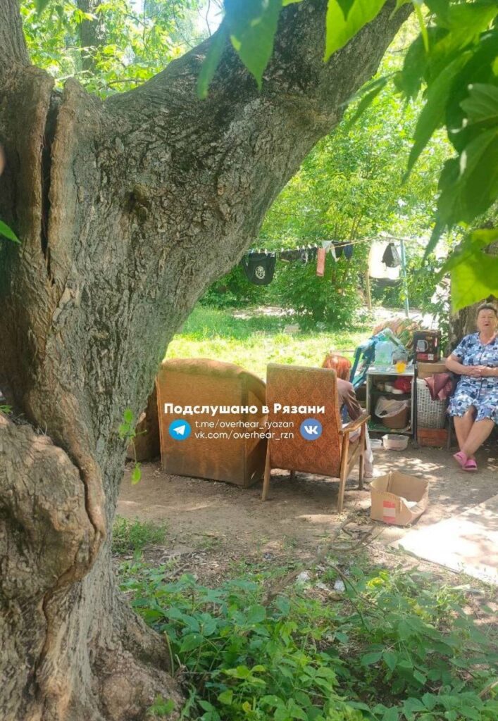 Рязанцы опасаются, что дерево упадет на детскую площадку