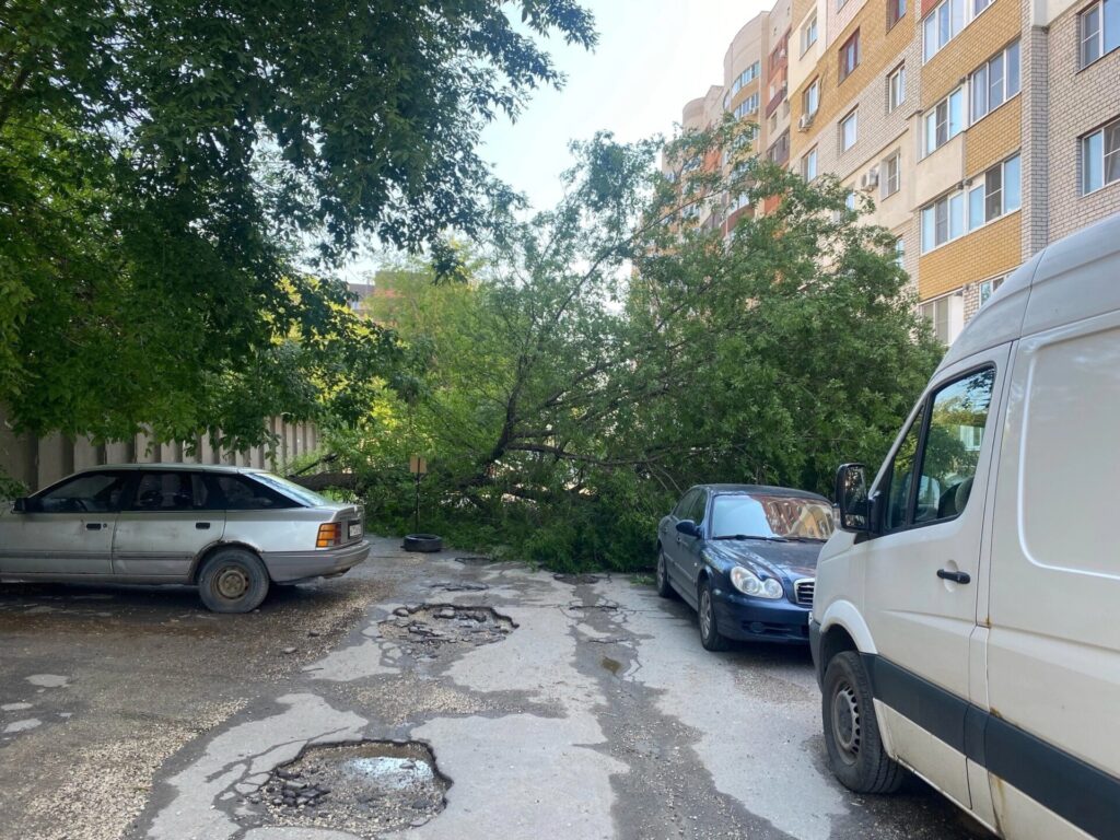 В Рязани рухнувшее дерево перегородило проезд во двор
