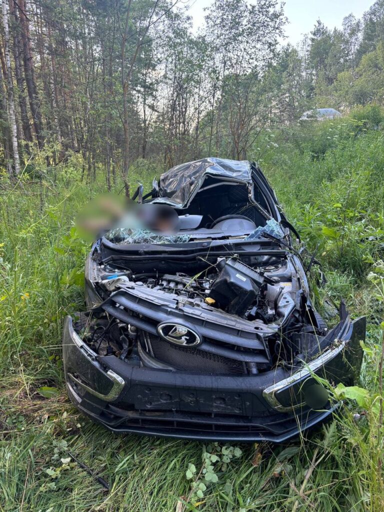 Водитель и пассажир погибли в ДТП на трассе Р-132 в Клепиковском районе