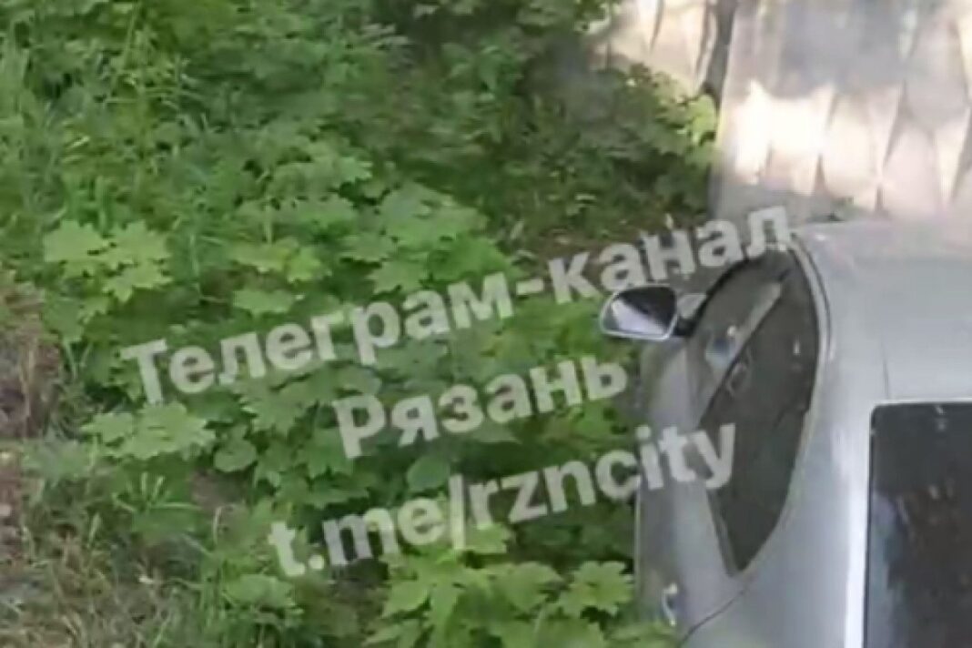 RL0y6I1Zidw