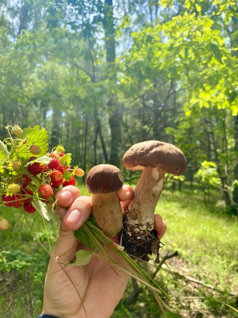 Рязанцы начали собирать землянику