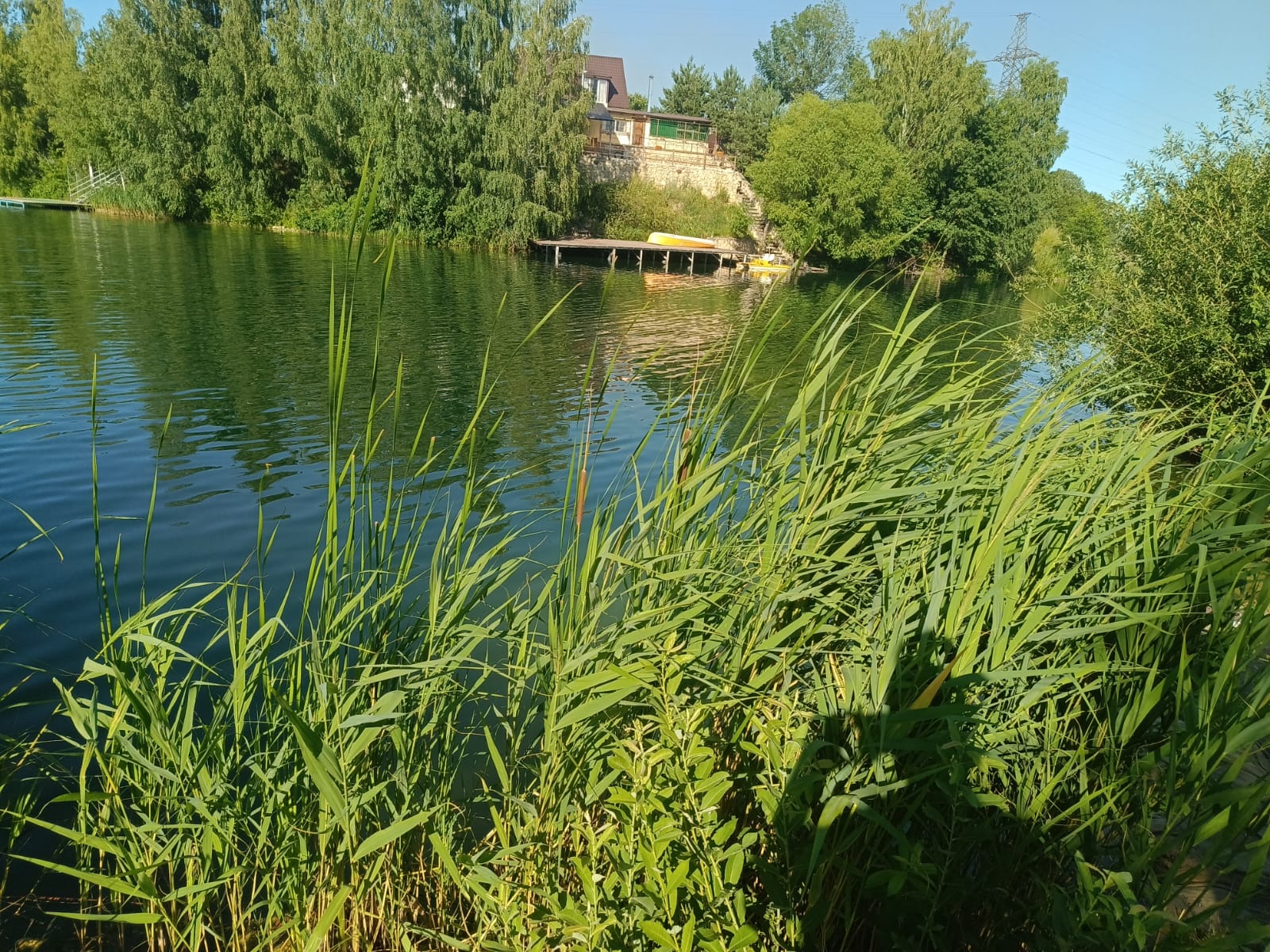 Стали известны подробности гибели несовершеннолетнего на воде в Пронском  районе