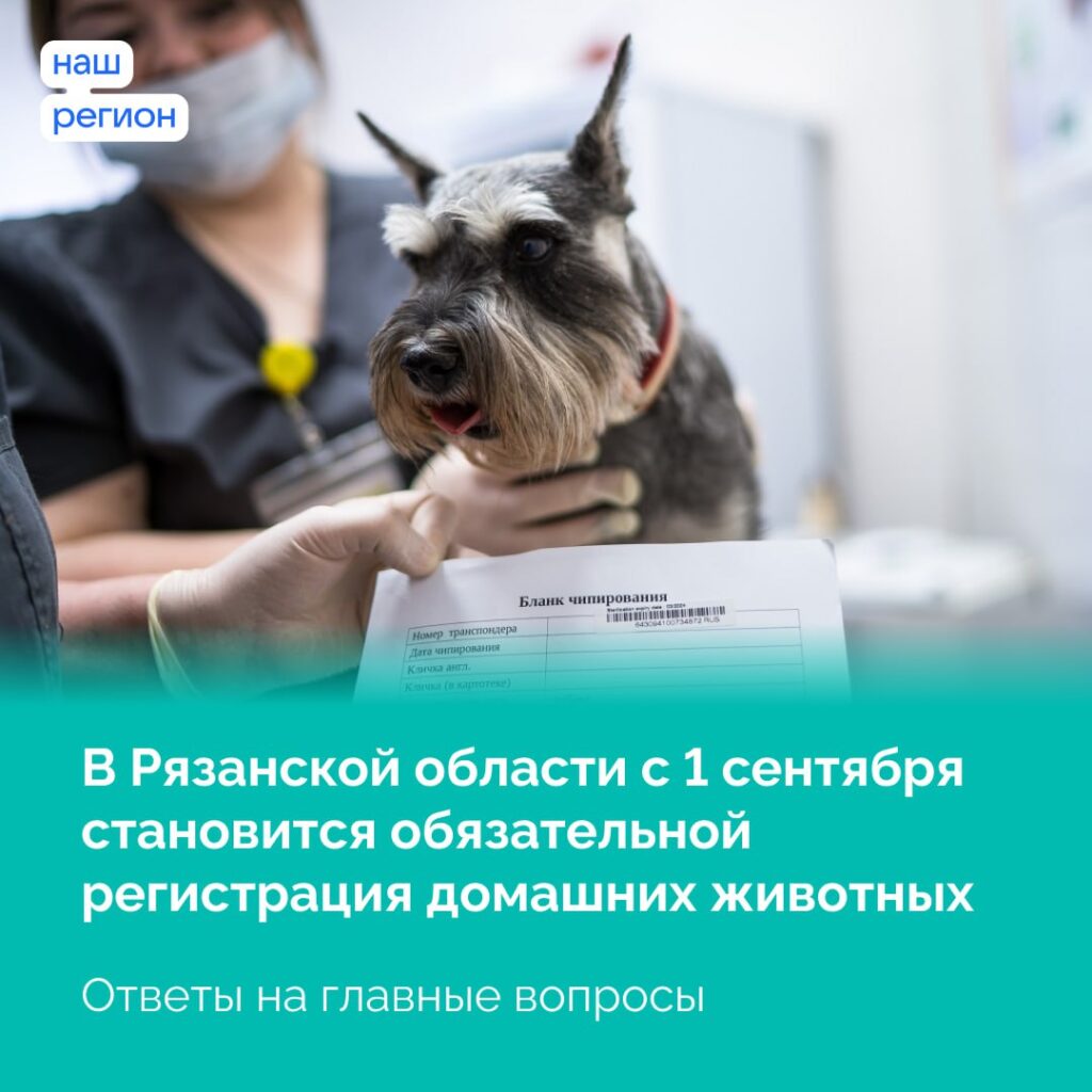 Регистрация собак в Рязани обязательна: всё, что нужно знать владельцам