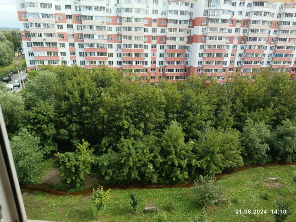 Рязанцы вновь жалуются на странный цвет ручья Быстрец Рязанцы вновь жалуются на странный цвет ручья Быстрец Министерство природопользования заявлет, что превышения ПДК загрязняющих веществ в ручье не выявлены.