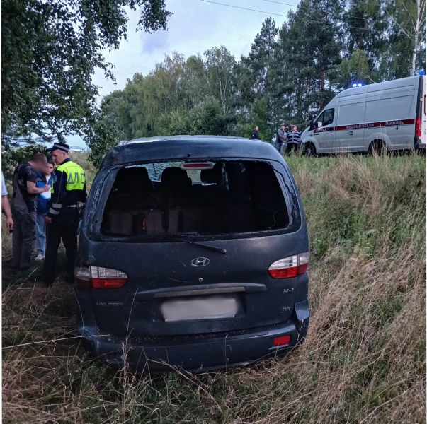 Женщина и годовалый ребёнок пострадали в ДТП в Касимовском районе