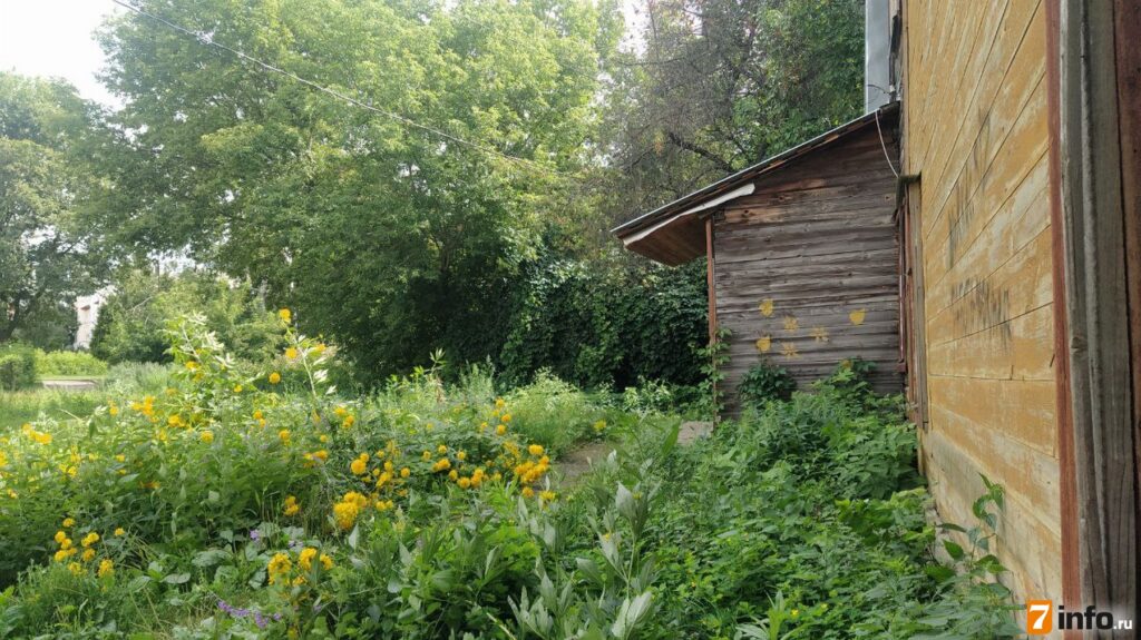 Предтечи улицы Праволыбедской  