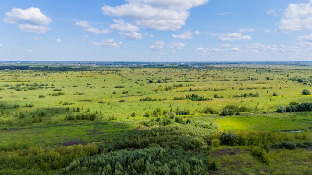 Панорамные окна от ГК «Зелёный сад» — новый взгляд на мир!