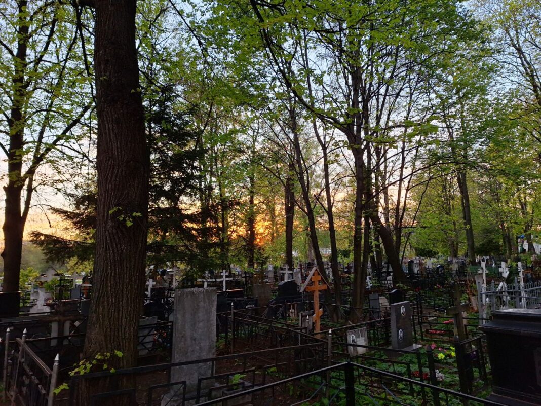 IMG_20241110_201241_015