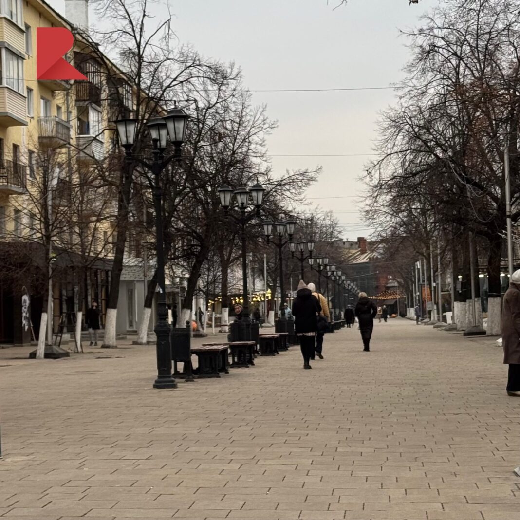 photo_2024-11-12_14-42-01