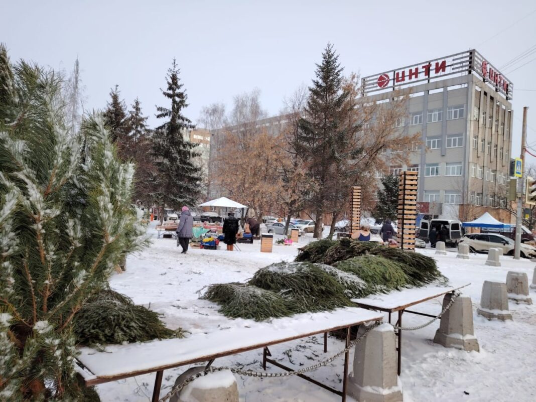 IMG_20241216_135458_962