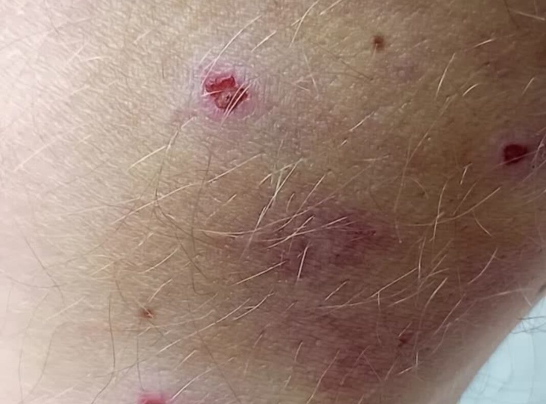 Screenshot_20241209_105449_VK