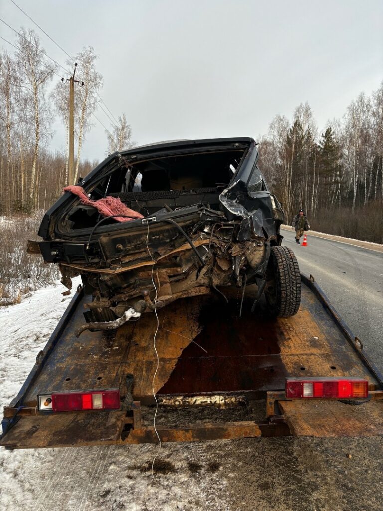 В Касимовском районе легковушка сбила лося