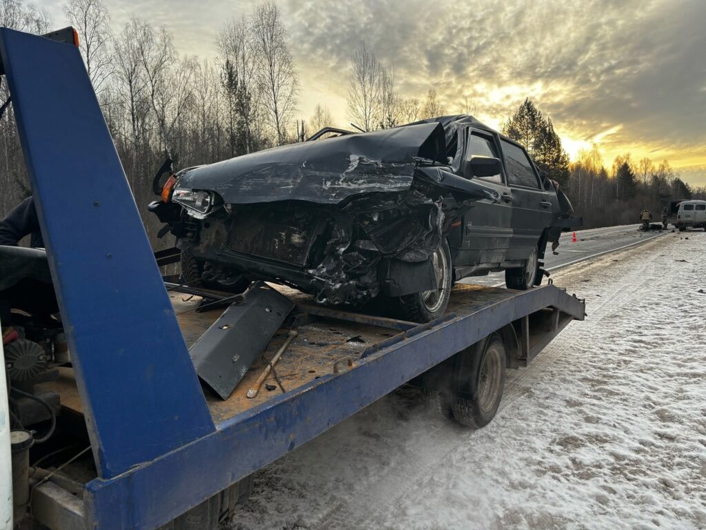 В Касимовском районе легковушка сбила лося