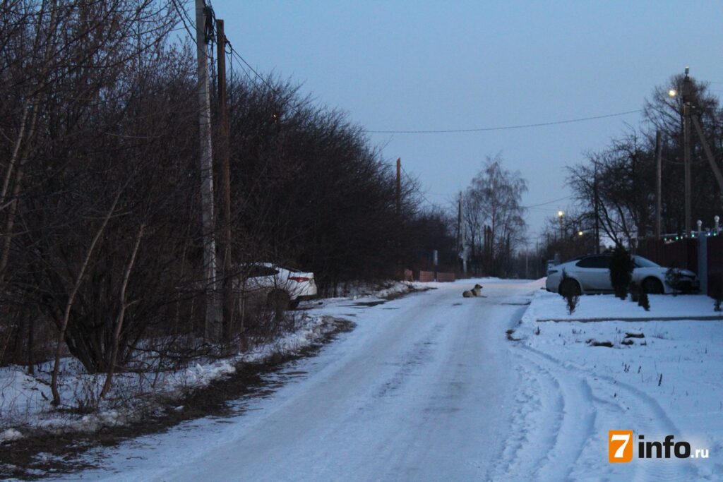 В честь кого из молодогвардейцев названы улицы Рязани и когда они появились Их несколько, они находятся в различных районах города и все вместе являются олицетворением памяти о легендарном подпольном движении.