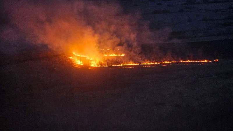 На Северной окружной в Рязани горят поля На Северной окружной в Рязани горят поля Очевидцы сообщают, что на месте происшествия работают сотрудники МЧС.