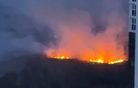 На Северной окружной в Рязани горят поля На Северной окружной в Рязани горят поля Очевидцы сообщают, что на месте происшествия работают сотрудники МЧС.