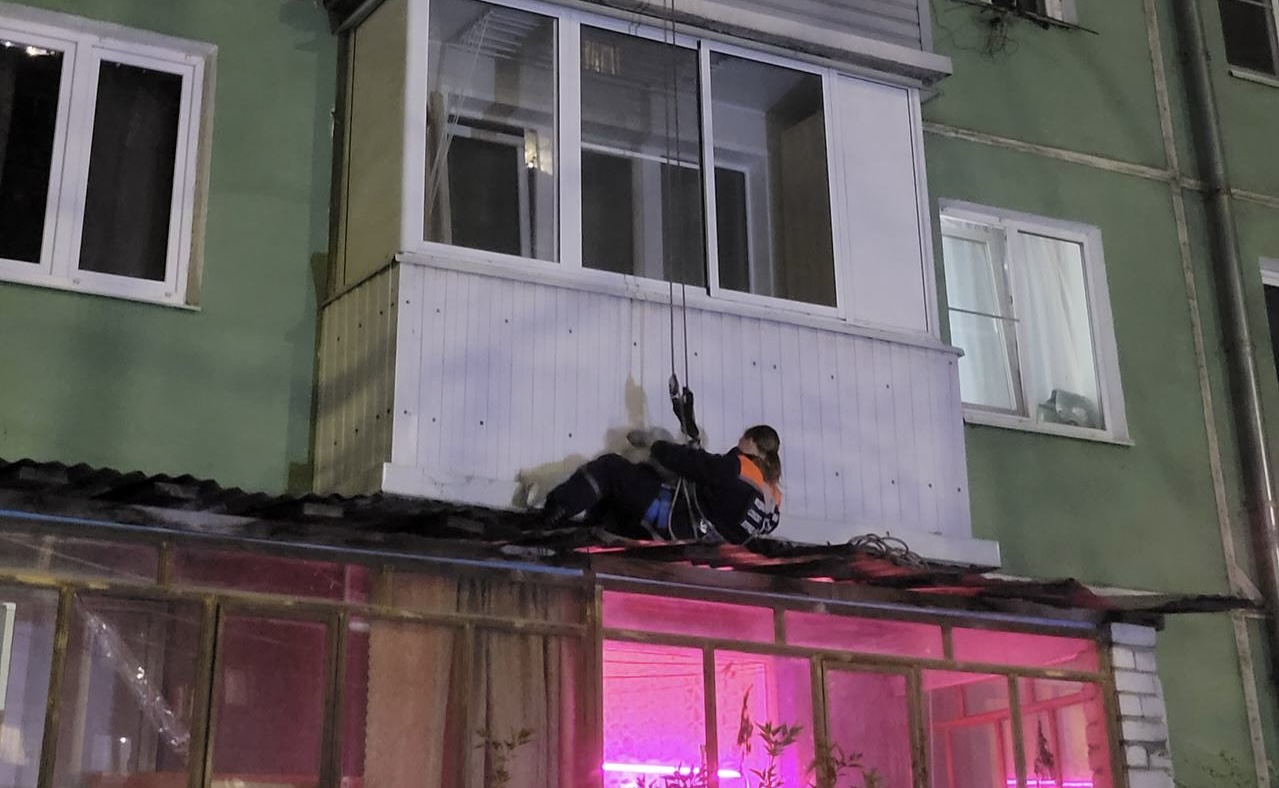 Кошка выпала из окна в Рязани Кошка выпала из окна в Рязани Спасатели, прибывшие на место, использовали альпинистское снаряжение, чтобы спуститься на пристройку и осторожно извлечь напуганное животное. Кошка забилась в узкое пространство между этажами.