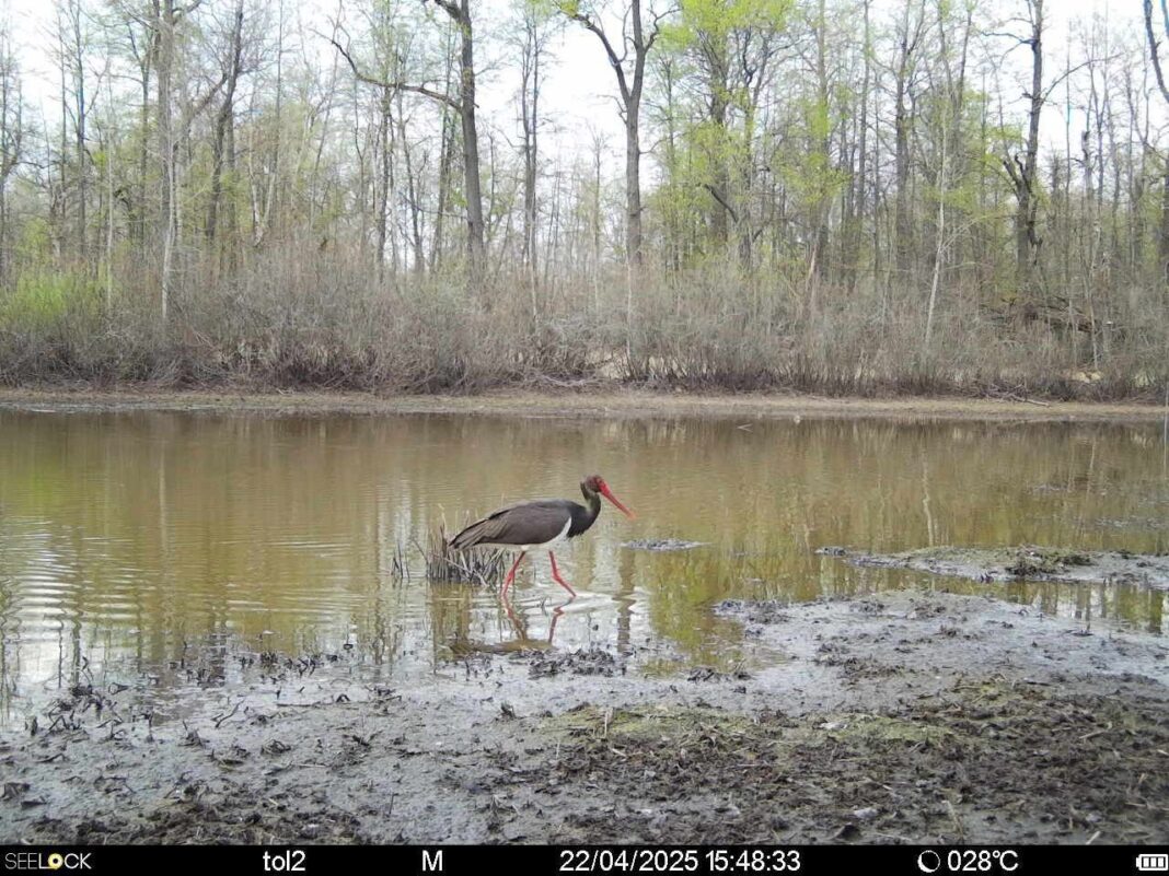 photo_2025-04-24_17-05-53