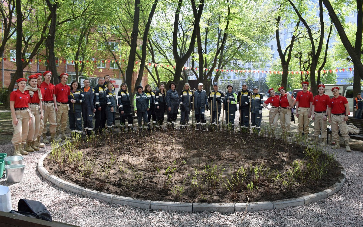 В сквере Победы при поддержке РНПК и администрации города появилась Аллея Славы В сквере Победы при поддержке РНПК и администрации города появилась Аллея Славы В честь 80-летия Великой Победы в центре Рязани высадили 350 саженцев кустарников и деревьев.