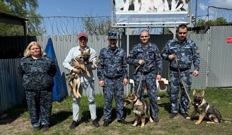 Ежевика, Ероха и Ермак прибыли на службу в УФСИН по Рязанской области Ежевика, Ероха и Ермак прибыли на службу в УФСИН по Рязанской области Ежевика, Ероха и Ермак встанут в скором будущем на защиту интересов государства, выполняя особо важные задачи по выбранному для них направлению. Впереди у щенков социальная адаптация среди своих старших товарищей.