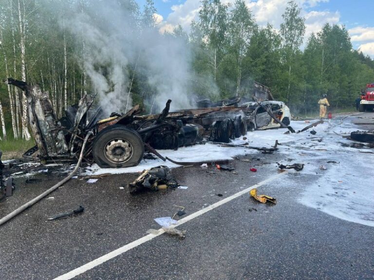 В массовом ДТП в Рязанской области погибли водители двух фур