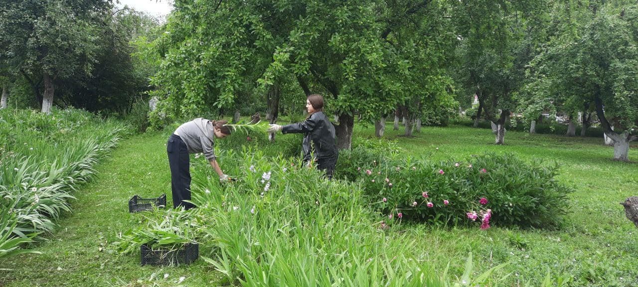 Более 180 юных рязанцев работают в школьных трудовых отрядах Более 180 юных рязанцев работают в школьных трудовых отрядах Ребята из трудового отряда «Юннат» на Станции юных натуралистов выполняет работы по уборке, благоустройству и озеленению территории