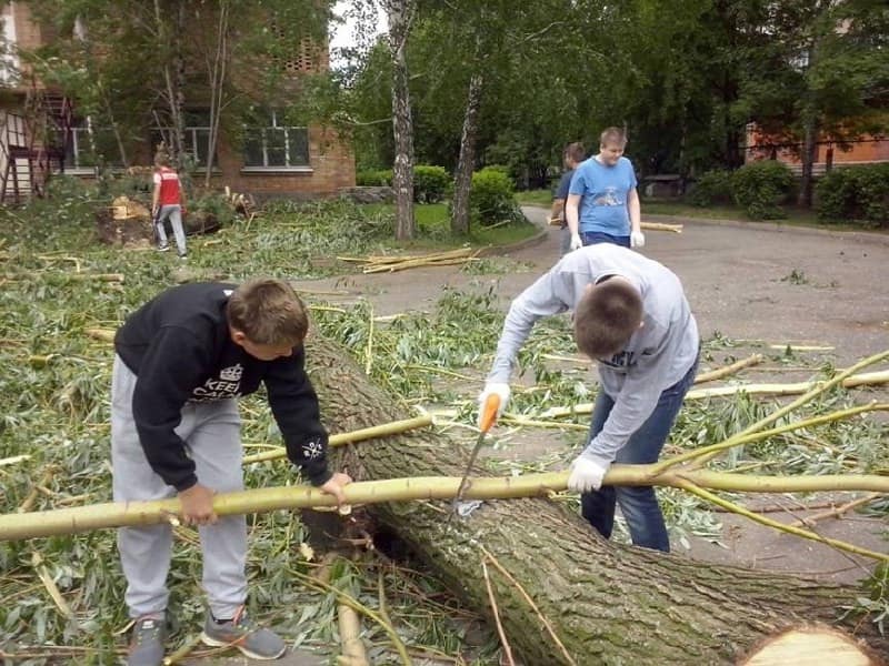 Более 180 юных рязанцев работают в школьных трудовых отрядах Более 180 юных рязанцев работают в школьных трудовых отрядах Ребята из трудового отряда «Юннат» на Станции юных натуралистов выполняет работы по уборке, благоустройству и озеленению территории