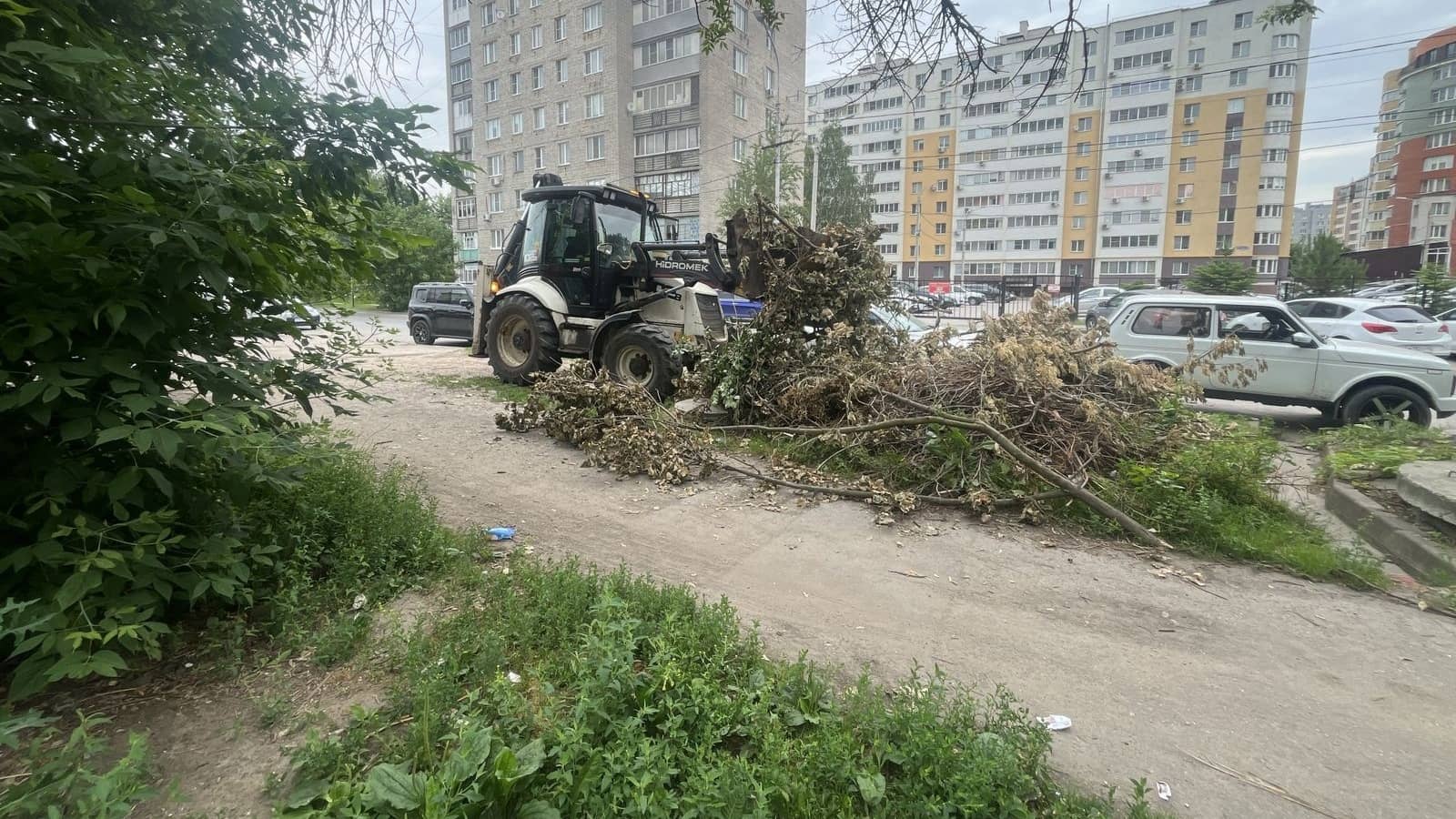 В Рязани продолжается благоустройство районов В Советском районе сотрудники префектуры организовали и провели вывоз порубочных остатков и сухих веток в размере 20 кубометров.